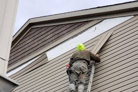 Best Siding for New Construction  in Gotha, FL